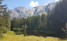 Le Forêt du Claret