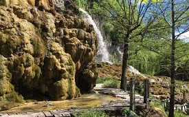 Petrifying Fountain Gardens