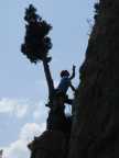 Relais proche d'un arbre sur la falaise du quiquillon...