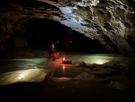 Observation des étoiles bactériennes sur les parois