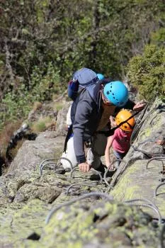 Progression in iron ladder