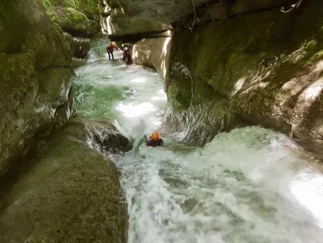 Le ternèze boyat, Curienne, massif des Bauges