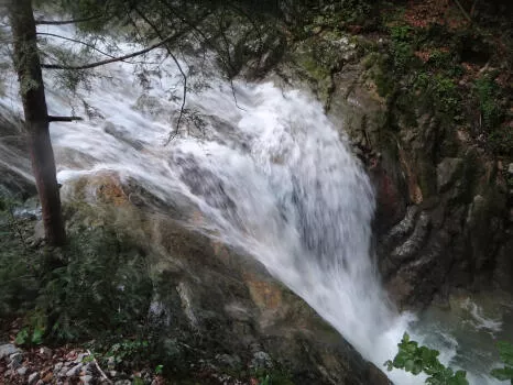 Alloix canyon, Chartreuse Range, near Grenoble