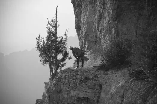 Verticalité en noir et blanc.