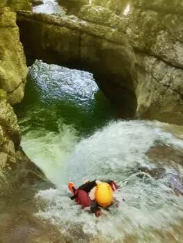 Le ternèze, Curienne, massif des Bauges - Savoie -